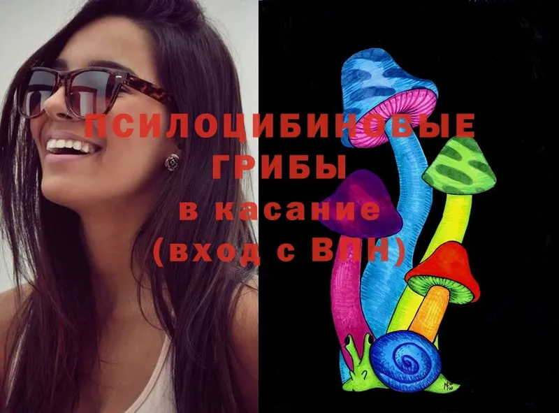 Галлюциногенные грибы MAGIC MUSHROOMS  omg вход  Всеволожск 